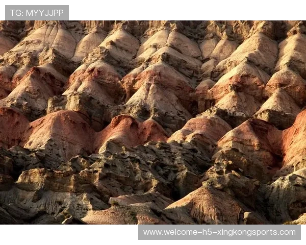 新疆印象:风景、民俗与变迁 新疆印象:风景、民俗与变迁