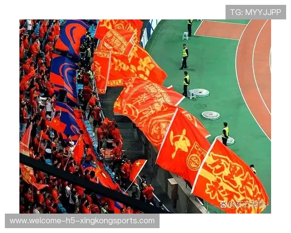 球迷行为观察：主场优势是否被夸大？，球队在主场有什么优势